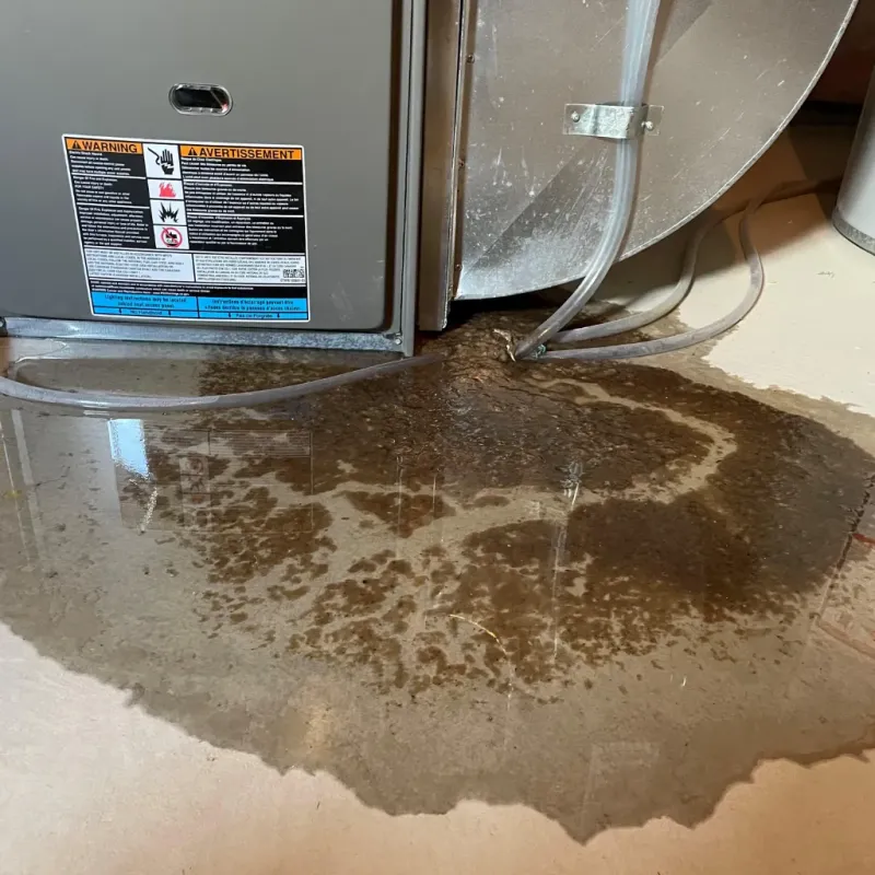 Appliance Leak Cleanup in Georgetown, CT